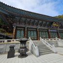 단양, 제천 단풍 여행코스- 구인사, 단양구경시장,배론성당 -국내패키지여행①