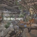 잉어 | 화성시 아이와 가볼만한곳 동탄 라크몽 메리그라운드 후기 잉어 먹이주기 주차