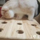 두류동물병원 이미지