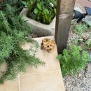 두꺼비 민박 이미지