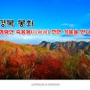 경북 봉화 단풍산행/청량산 축융봉(祝融峰) 진한 가을을 만나다. 【18년10월28일】