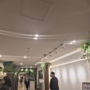 웨딩홀추천 포시즌앤강남 공우이엔씨 뷔페 후기