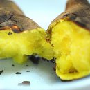 발해펜션 이미지