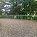 산내황금펜션 | 바람과 함께 즐기는 경주 문복산캠핑장 C5 사이트 후기