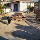 한량이네 민박 이미지