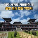 동양자판기 | 제주 서귀포 가볼만한 곳 약천사 동양 최대 법당 주차 관람 시간