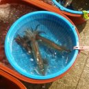 포항종합상사 이미지