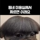 동네미용실 Daum카페