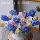 도버 이미지