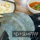 백소정신제주연동점 | <제주/연동> 제주시내 생새우 회 맛집 아싸살아있네 내돈내산 후기
