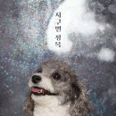 안녕댕댕쓰 이미지