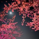 노량무인라면카페