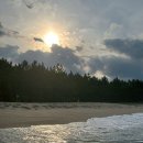 302 미노 | 강릉 애견동반 독채 펜션 추천｜302미노 애견동반가능 실내 반신욕탕