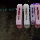 스마트렌트카 강릉 이미지