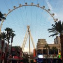 하이롤러 이미지