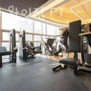 마스터 와이짐 이미지