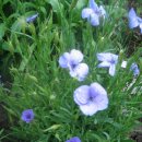 뜰이야기 이미지