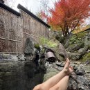 호수대중목욕탕 | 11월 유후인 후쿠오카여행2편(아기랑 유후인료칸,긴린코호수,유후인맛집,가을유후인)