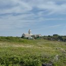 또올래칼국수 | 제주 여행 동문시장 운화당 섭지코지 마두천칼국수