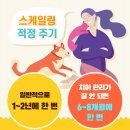 누리동물병원 이미지