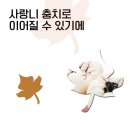 유디여수치과의원 이미지