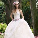 에이메드 이미지