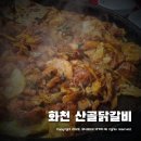 화천산골닭갈비 | 화천 맛집 산골닭갈비 춘천 닭갈비골목 보다 맛있잖아