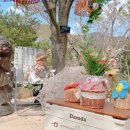 알프스파크 이미지