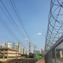 문산고등학교 앞 횡단보도 이미지