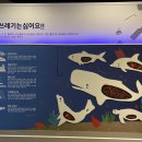 바다로간코끼리 네이버블로그