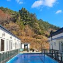 다이노 꽃밭에서 이미지