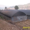 천마농장 이미지