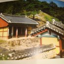 명탄