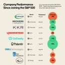 2024년 신규 S&amp;P 500 기업의 성과 이미지