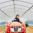 대양농장 이미지