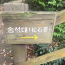 납읍초등학교 | ㅣ곶자왈청년서포터즈 1기ㅣ곶자왈청년서포터즈 납읍 난대림지대 위치한 금산공원 방문 후기 - 두번째