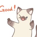 고양이호텔 묘랑묘랑 이미지