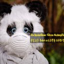 (주)다름 이미지