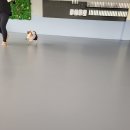 나와놀개 이미지