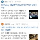 스플24스터디카페 이미지