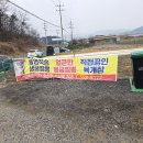 상록손짜장 이미지