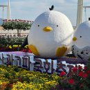 가고파 노컷뉴스