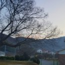 여명한의원 이미지