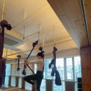 (주)대세엠·케어 | 강남 대치동 요가 엠케어요가에서 플라잉요가 하고 온 후기