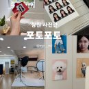 포토포토 | 여권•증명 사진 맛집 “포토포토” 솔직후기