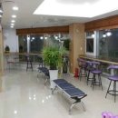 21세기 동물병원 이미지