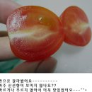 가현푸드 이미지