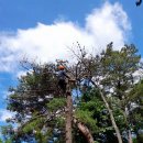 금정농장 이미지