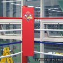 유타복싱클럽 이미지