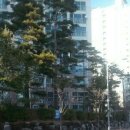 (자)경인렌트카 이미지